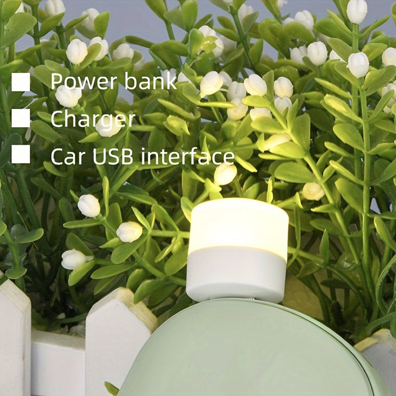 Compact USB Bulb (Cool White)