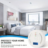 Portable Gas Detector
