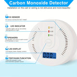 Portable Gas Detector